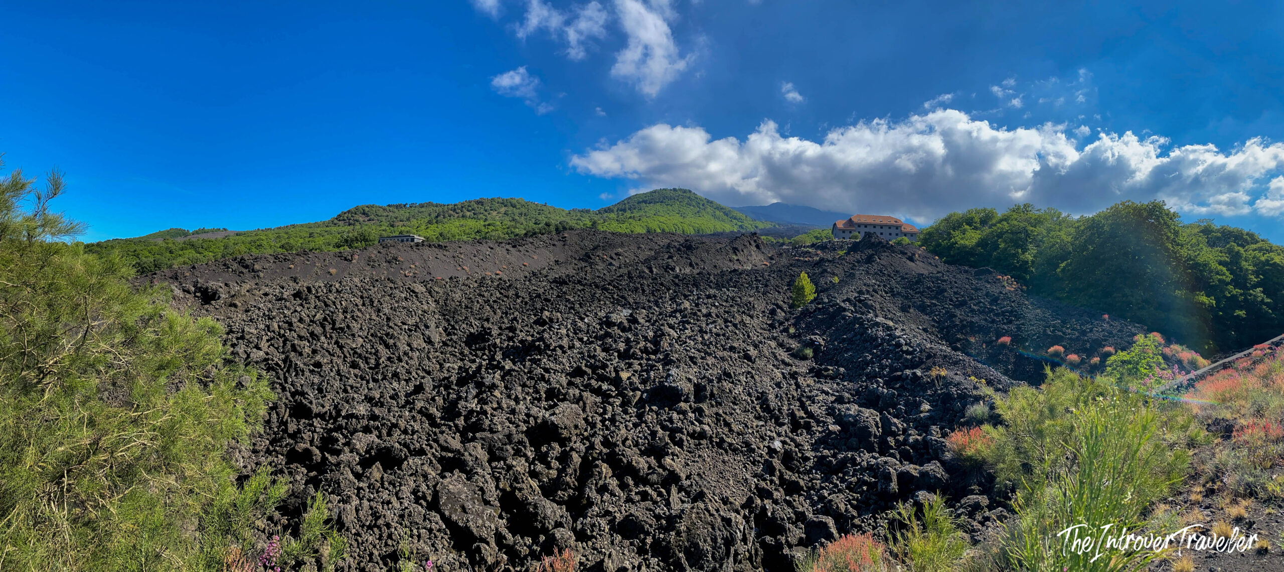 Hardened black lava fields on Mount Etna's slopes, with green forest and volcanic summit beyond