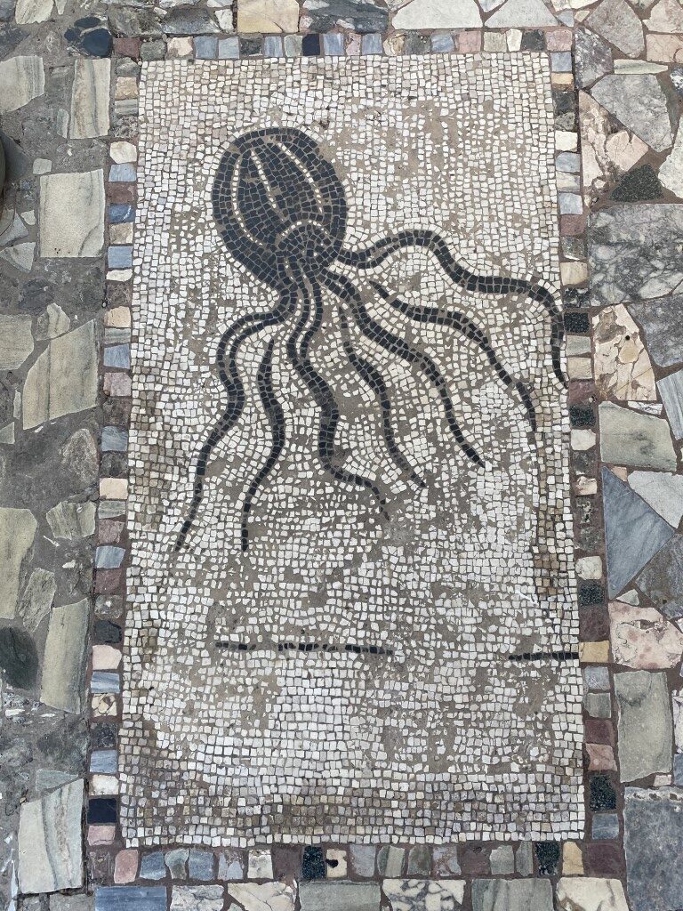 Ancient Roman floor mosaic depicting an octopus, on display at Villa Giulia Etruscan Museum in Rome