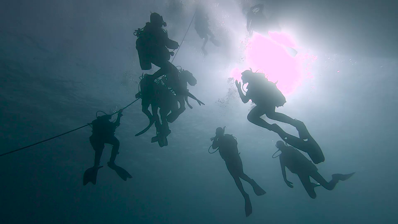 Group of beginner scuba divers silhouetted underwater near Cerboli, Tuscan sea, with sunlight above