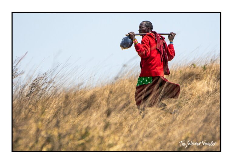 The Maasai of Tanzania: Noble Warriors, Backward Pastoralists, or Simply in the Way?