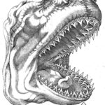 Tavola I engraving of Lamiae Piscis Caput, a great white shark head, from Rondelet's 16th-century fish treatise