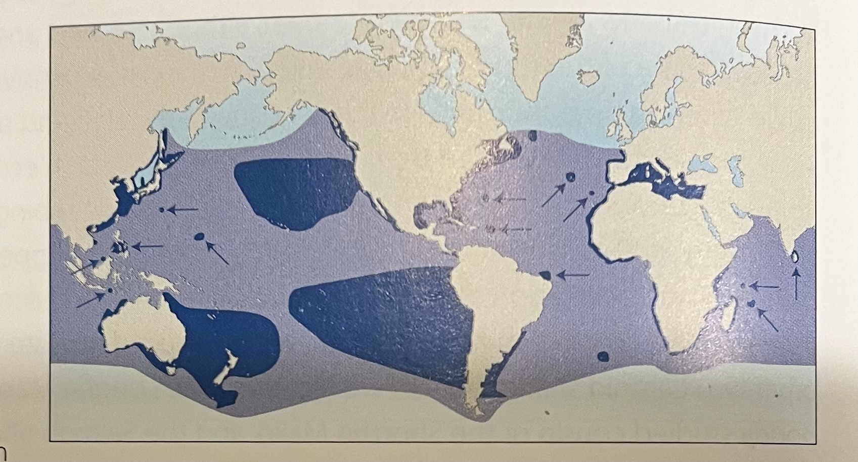 World map showing global great white shark distribution, with shaded zones marking Mediterranean habitat ranges.