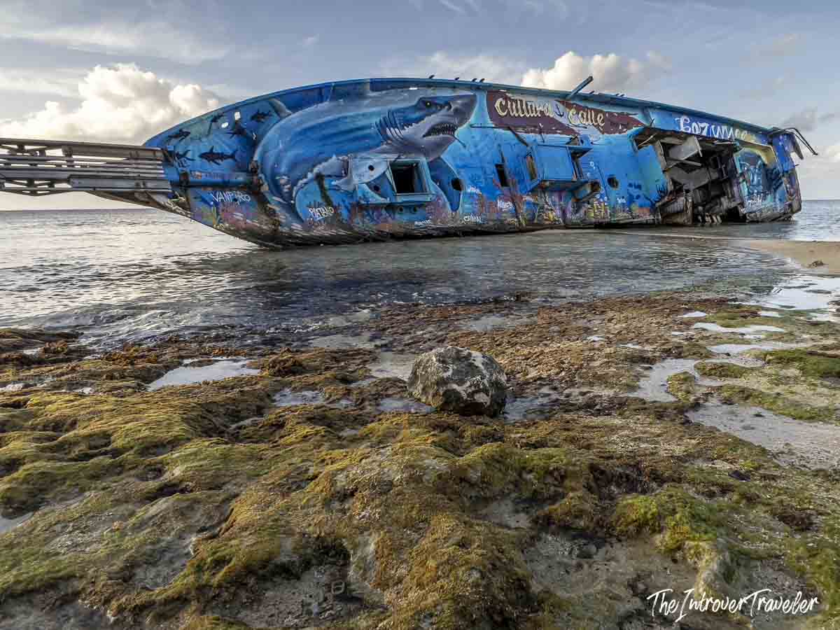 Graffiti-covered shipwreck on the Cozumel shore, painted with sharks and "Cultura Calle" street art