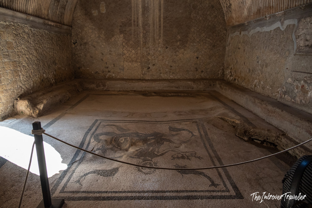 Ancient Roman floor mosaic with animal motifs inside a preserved room at Herculaneum excavations
