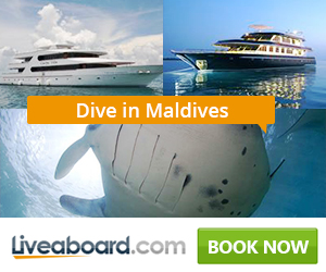 Liveaboard.com ad promoting dive cruises in Maldives with liveaboard yachts and a manta ray