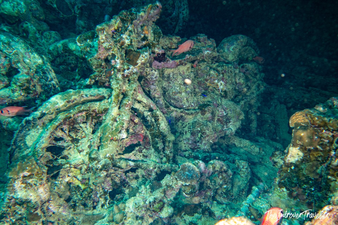 Coral-encrusted motorcycle from the SS Thistlegorm wreck cargo, surrounded by tropical fish