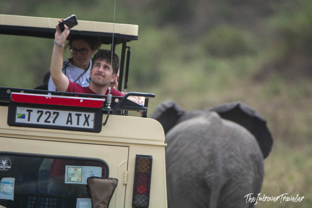 Tourists photographing a wild elephant up close from a safari jeep in Tanzania