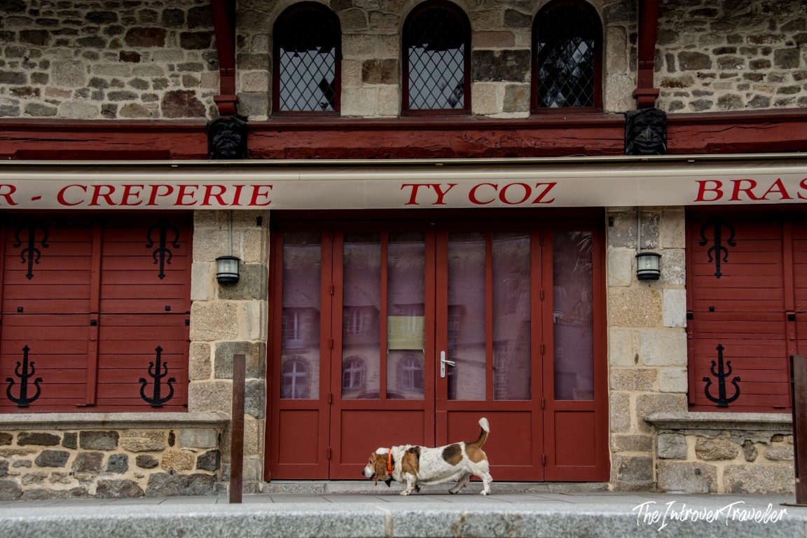 Dog walking past Ty Coz creperie facade in Dinan, with red shutters and granite stone walls