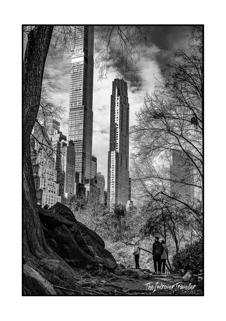 Black and white view of Central Park with Billionaires Row skyscrapers towering above bare trees and rocks