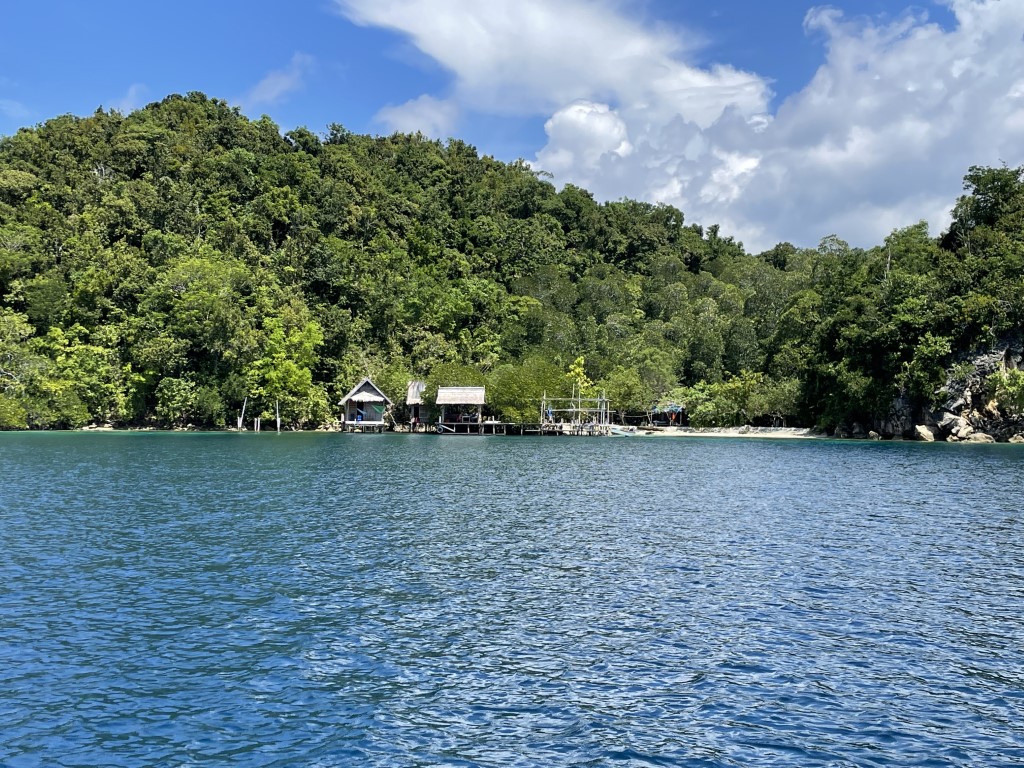 Wooden stilt huts on a remote Raja Ampat island shore, surrounded by dense jungle and calm blue water