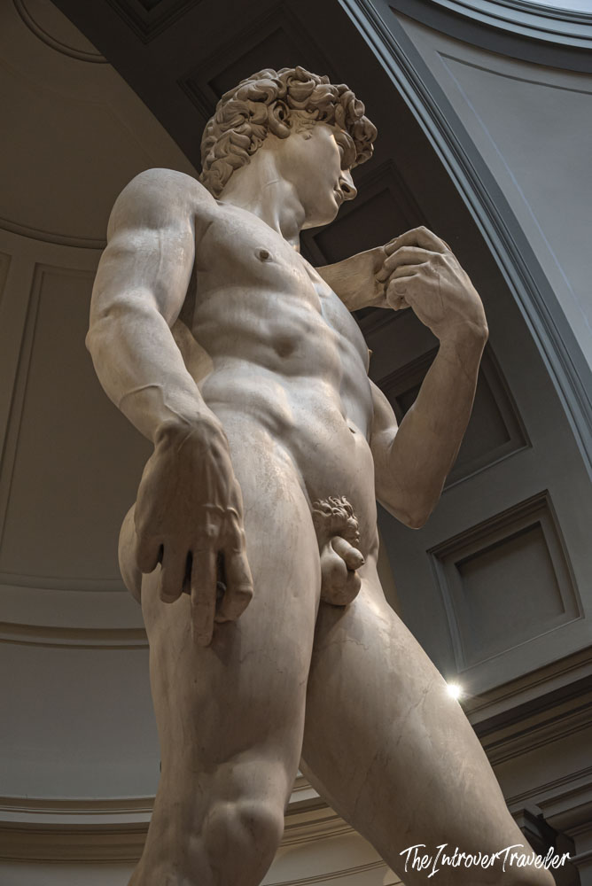 Michelangelo's David viewed from below at the Galleria dell'Accademia, Florence