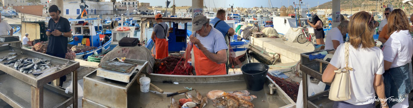 Fishermen selling fresh catch at Favignana harbor market, with colorful fishing boats docked behind them