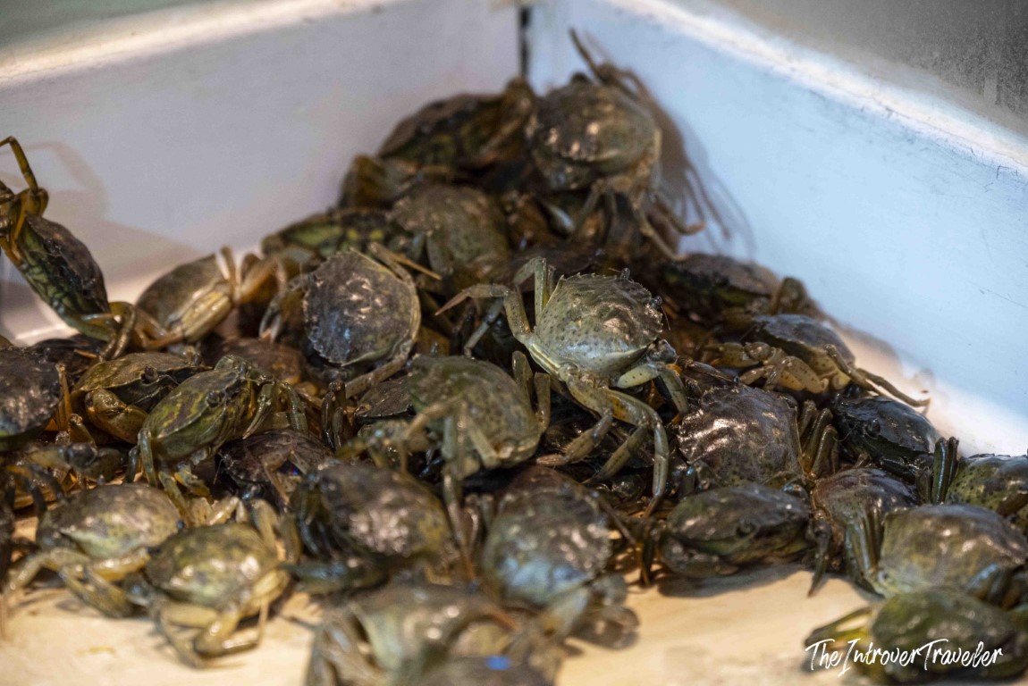Live green crabs piled in a market bin, a staple sight at coastal city fish markets