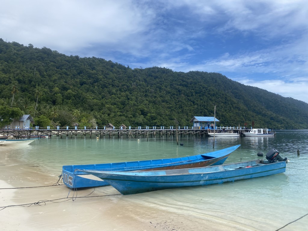 Blue wooden fishing boats beached on Raja Ampat shore, with jungle-covered island and dive jetty behind