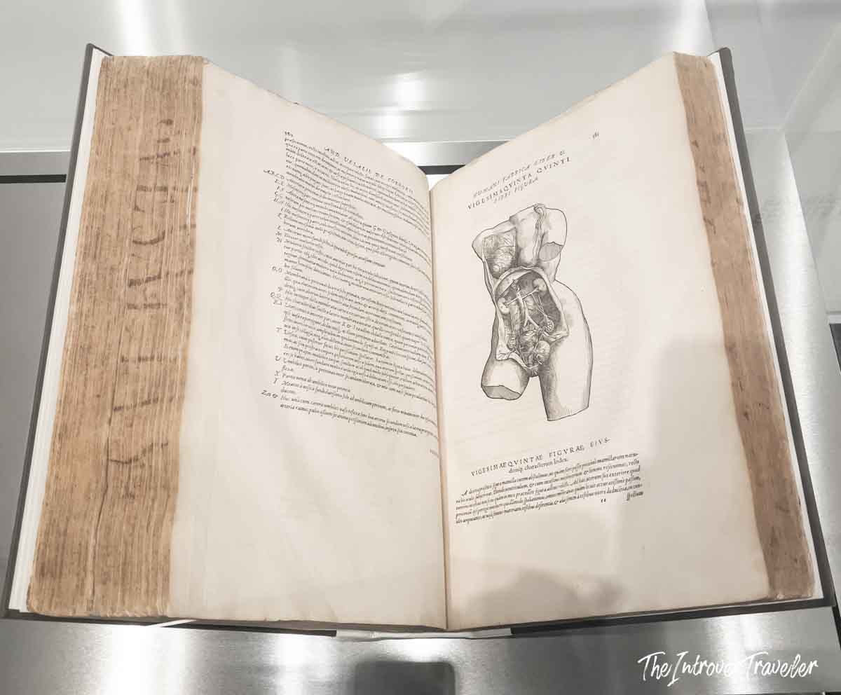 Open pages of Vesalius De Humani Corporis Fabrica, displayed at the Accademia Gallery Venice exhibition