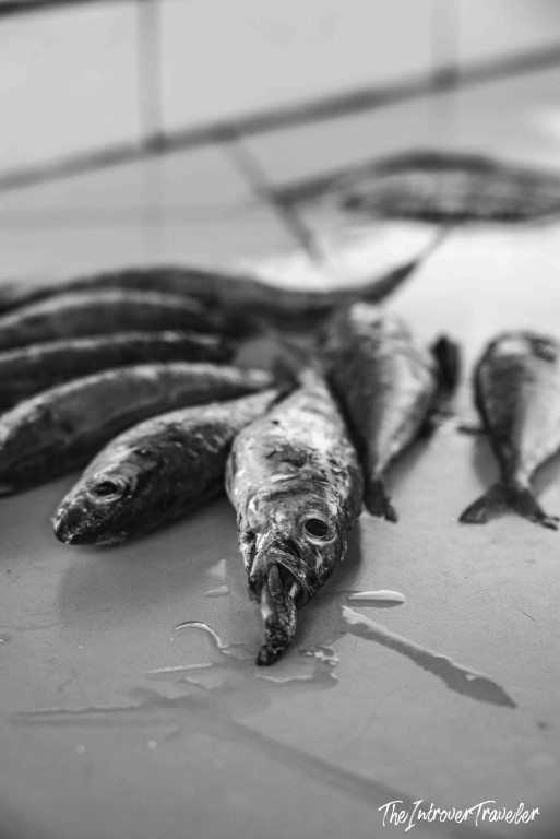 Fresh whole fish including sardines and eels laid out on a wet market counter at a coastal fish market