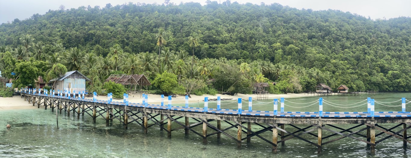 Wooden jetty with blue railings leading to a jungle-fringed beach in Raja Ampat, Indonesia