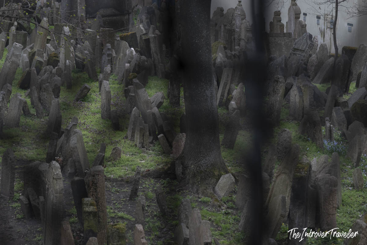 Densely packed ancient gravestones and bare trees at the Old Jewish Cemetery in Prague's Josefov quarter