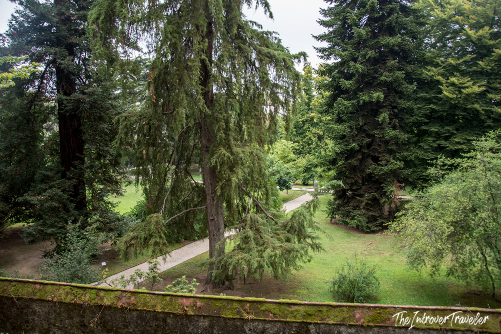 Lush tree-lined garden path in Lucca, Tuscany, viewed from a mossy stone wall