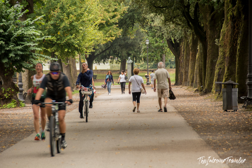 Tree-lined promenade atop Lucca's Renaissance walls, with cyclists and walkers enjoying the path
