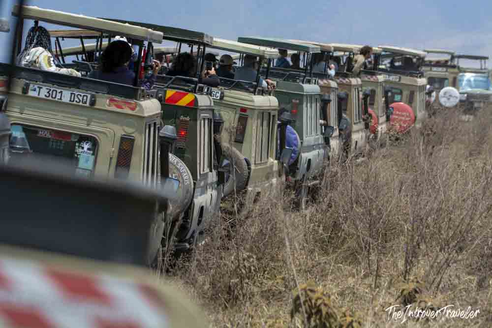Long line of open-roof safari jeeps crowding the Tanzania savanna during a game drive