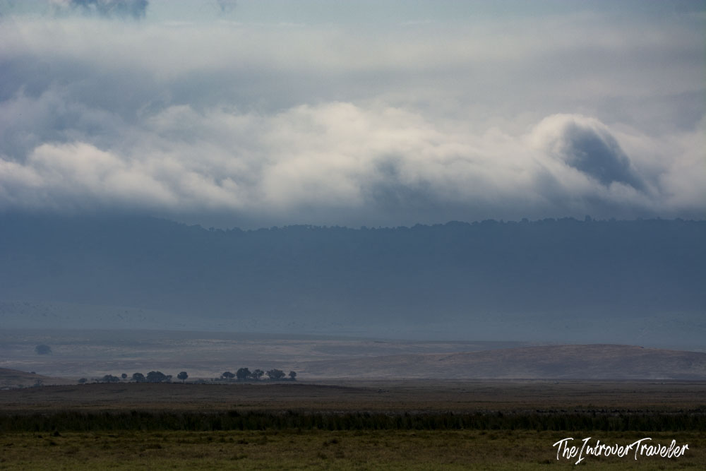 Misty savanna floor of Ngorongoro Crater, Tanzania, under dramatic low clouds
