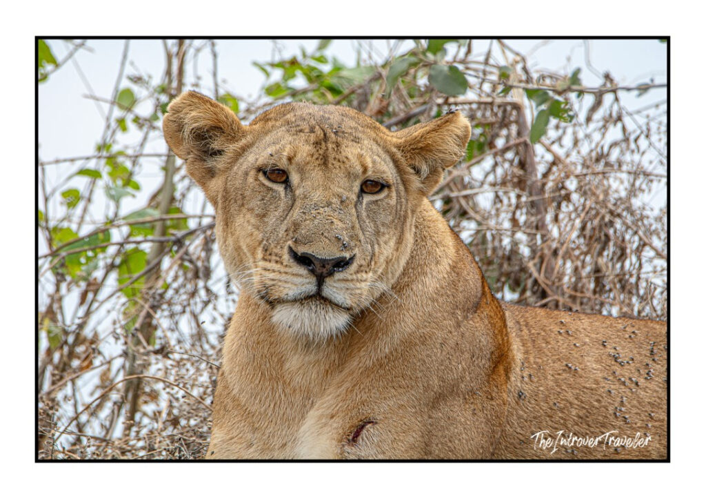 Tanzania