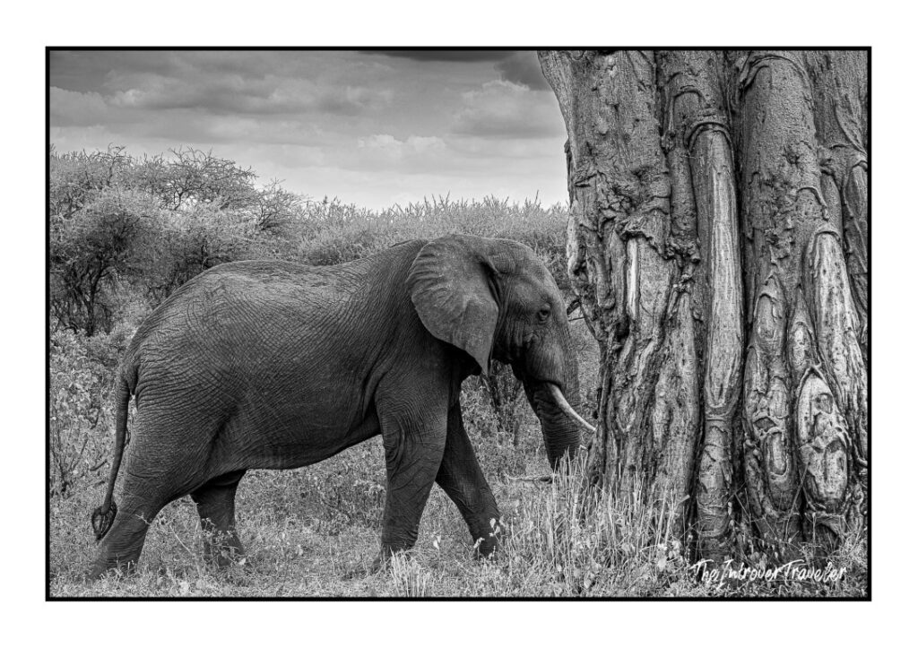 Tanzania
