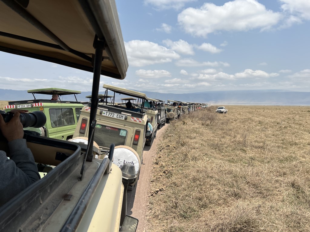 Long queue of safari jeeps lined up on a dirt track inside Ngorongoro Crater, Tanzania