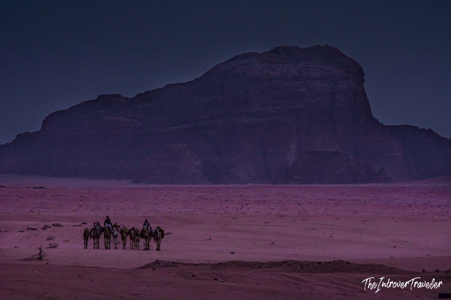 Camel caravan with Bedouin riders crossing Wadi Rum desert at dusk, Jordan, with sandstone cliffs behind