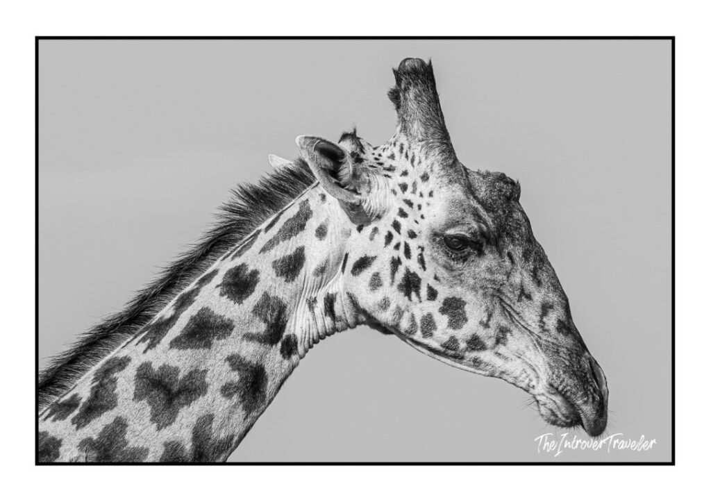 Tanzania