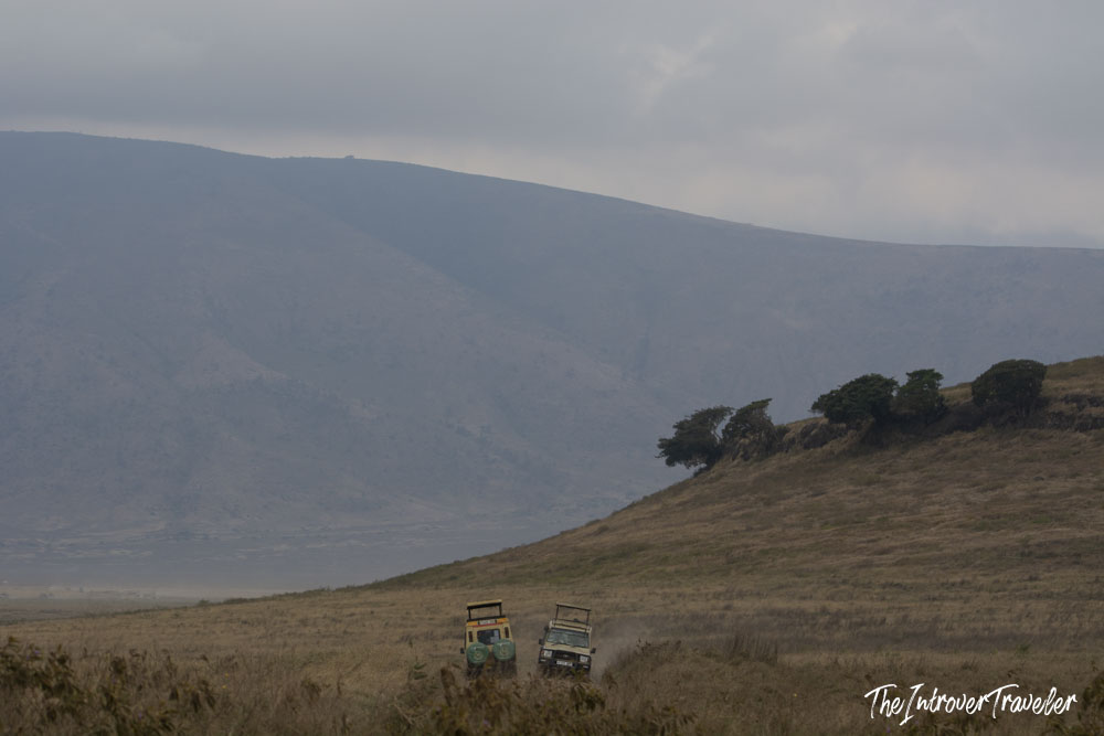 Two safari jeeps driving across the Ngorongoro Crater floor in Tanzania, with the vast crater walls behind