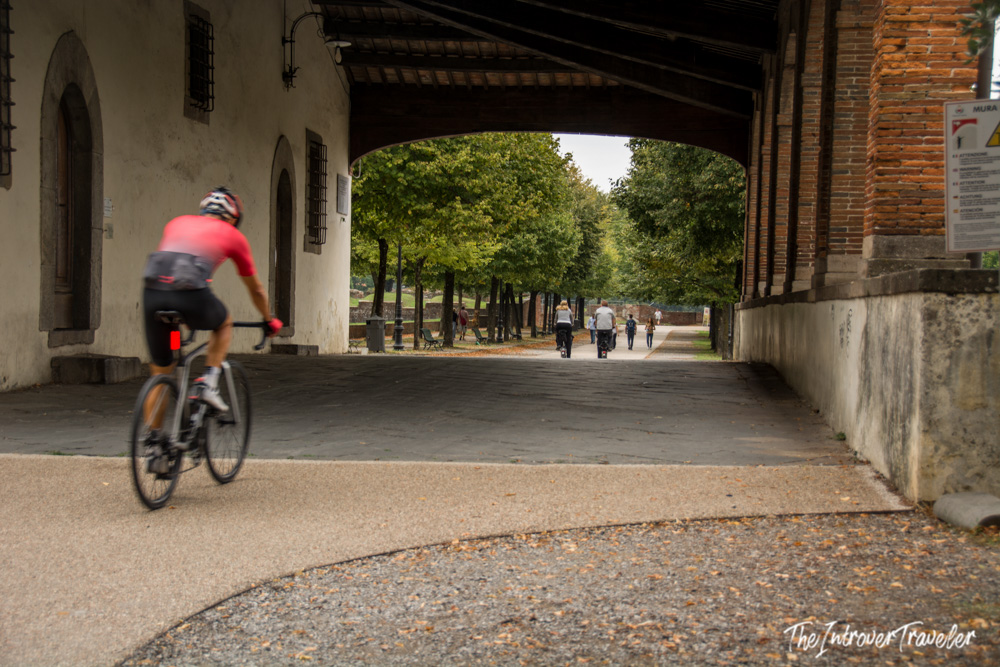 Cyclist riding along the top of Lucca's Renaissance walls, a popular activity for visitors to the Tuscan city