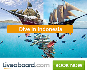 Liveaboard.com ad featuring a sailing vessel and tropical fish for diving in Indonesia