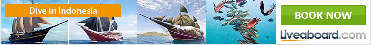 Liveaboard.com banner showing sailing dive boats and tropical fish for diving in Raja Ampat