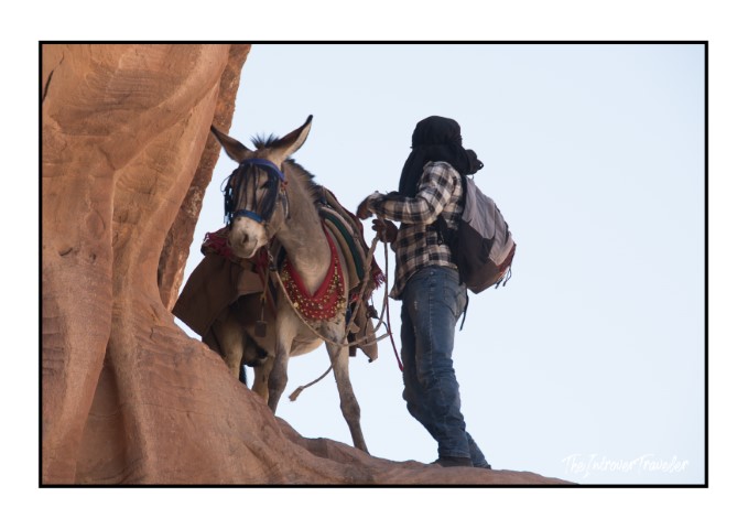 Bedouin handler leading a decorated donkey along red sandstone cliffs in Petra, Jordan