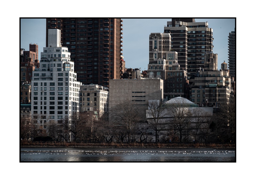 Upper East Side skyline viewed from Central Park reservoir, with birds resting on the water