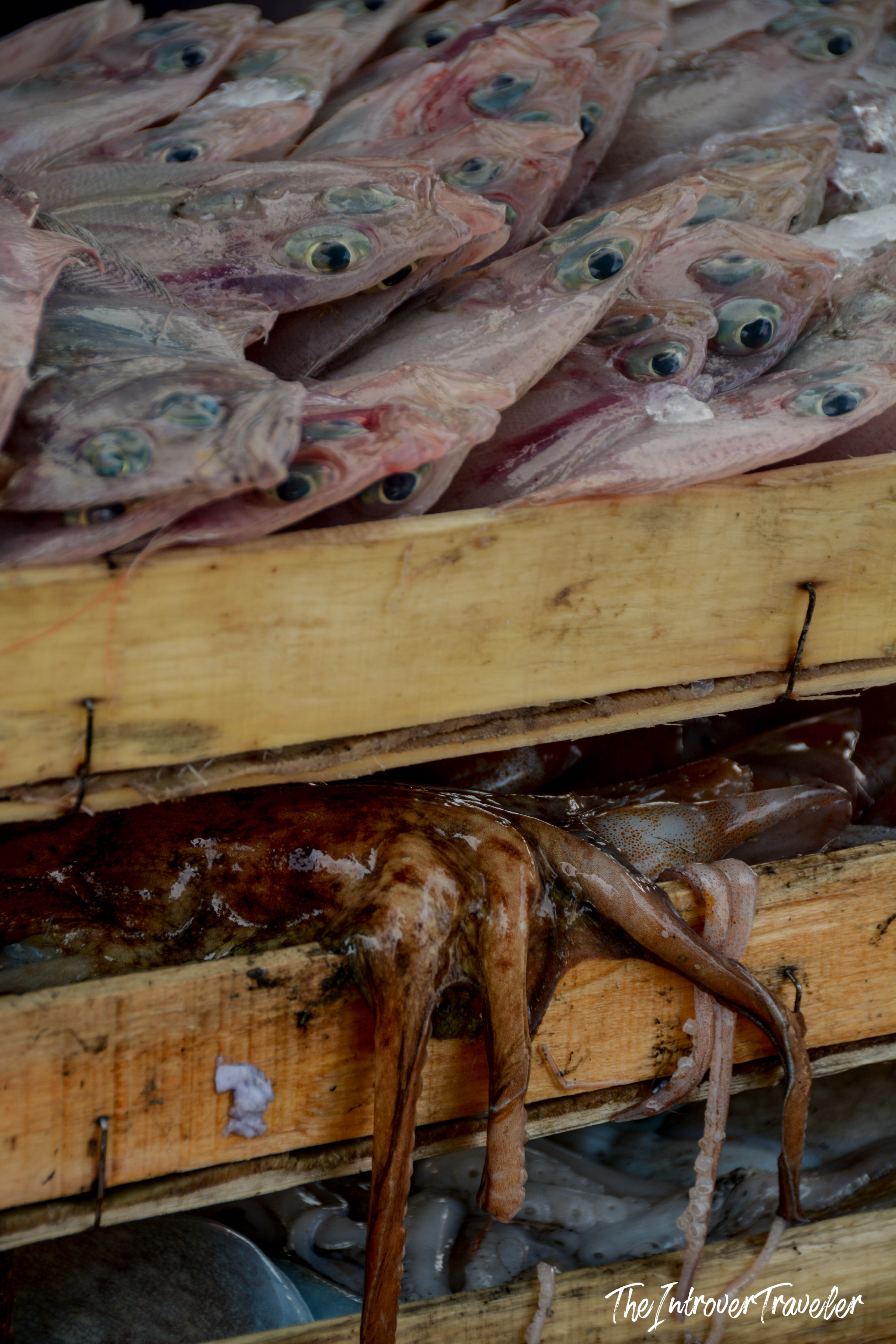 Fresh catch of fish and squid displayed on wooden crates at Mazara del Vallo fish market, Sicily