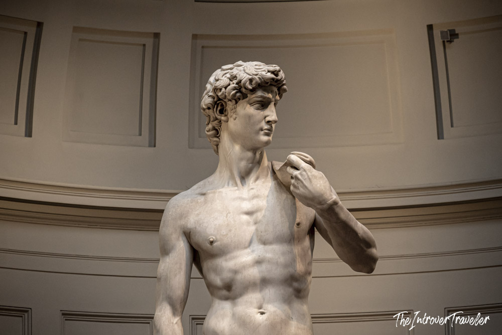 Close-up of Michelangelo's David torso and face, displayed in the Galleria dell'Accademia, Florence