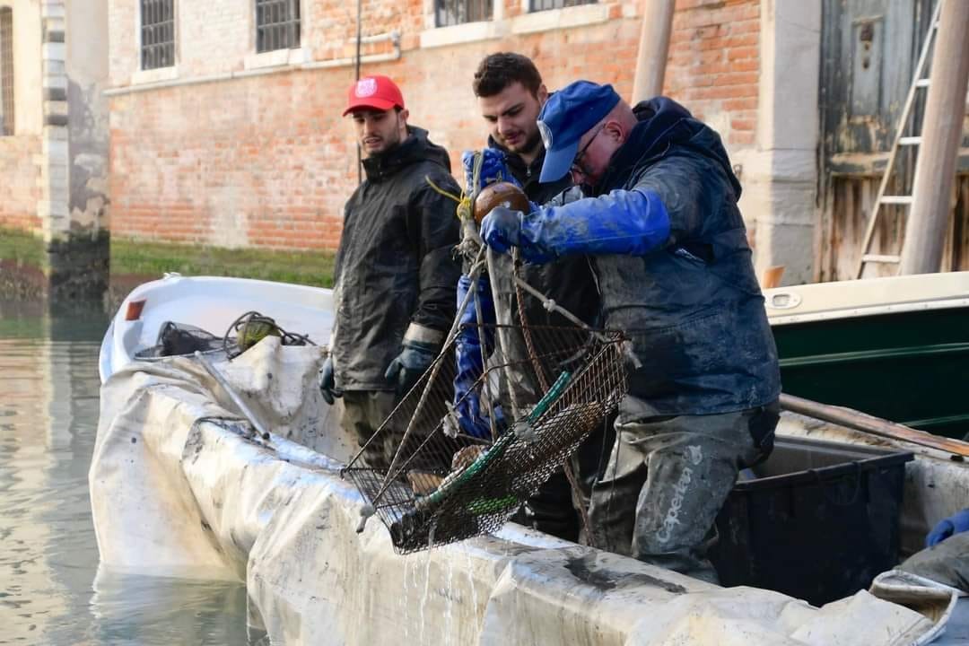 Fishermen hauling a wire trap from a Venice canal boat beside a brick canal wall