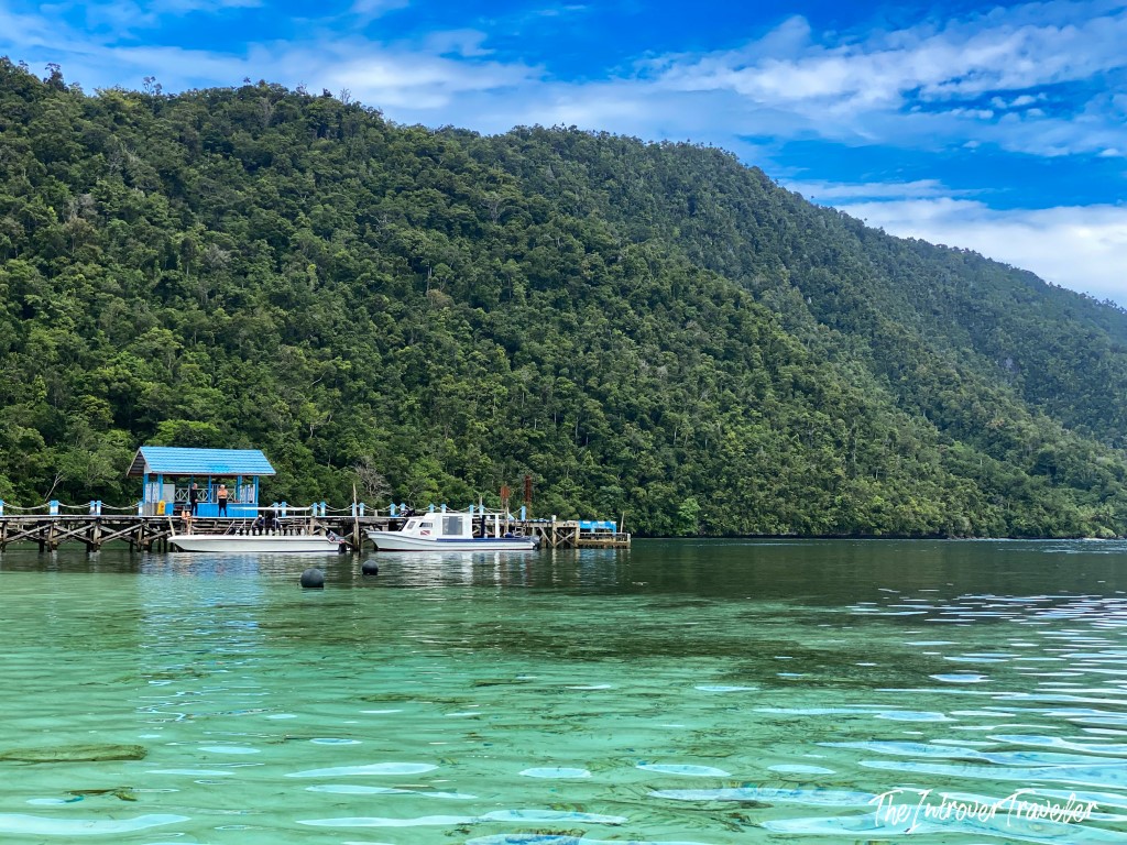 Wooden dive pier with speedboats moored in Raja Ampat, surrounded by crystal-clear turquoise water and forested hills