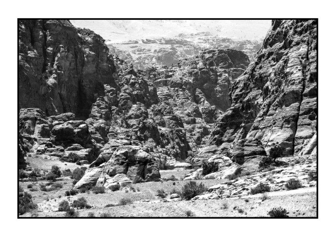 Black and white view of Petra's rocky canyon landscape, Jordan, with layered sandstone cliffs and desert scrub
