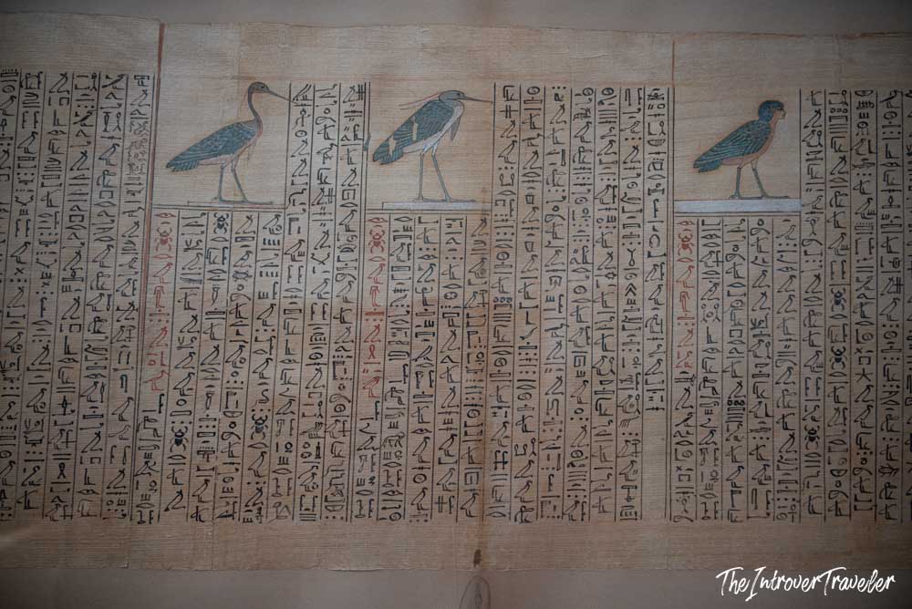 Ancient Egyptian papyrus scroll with hieroglyphics and sacred birds, Egyptian Museum Cairo