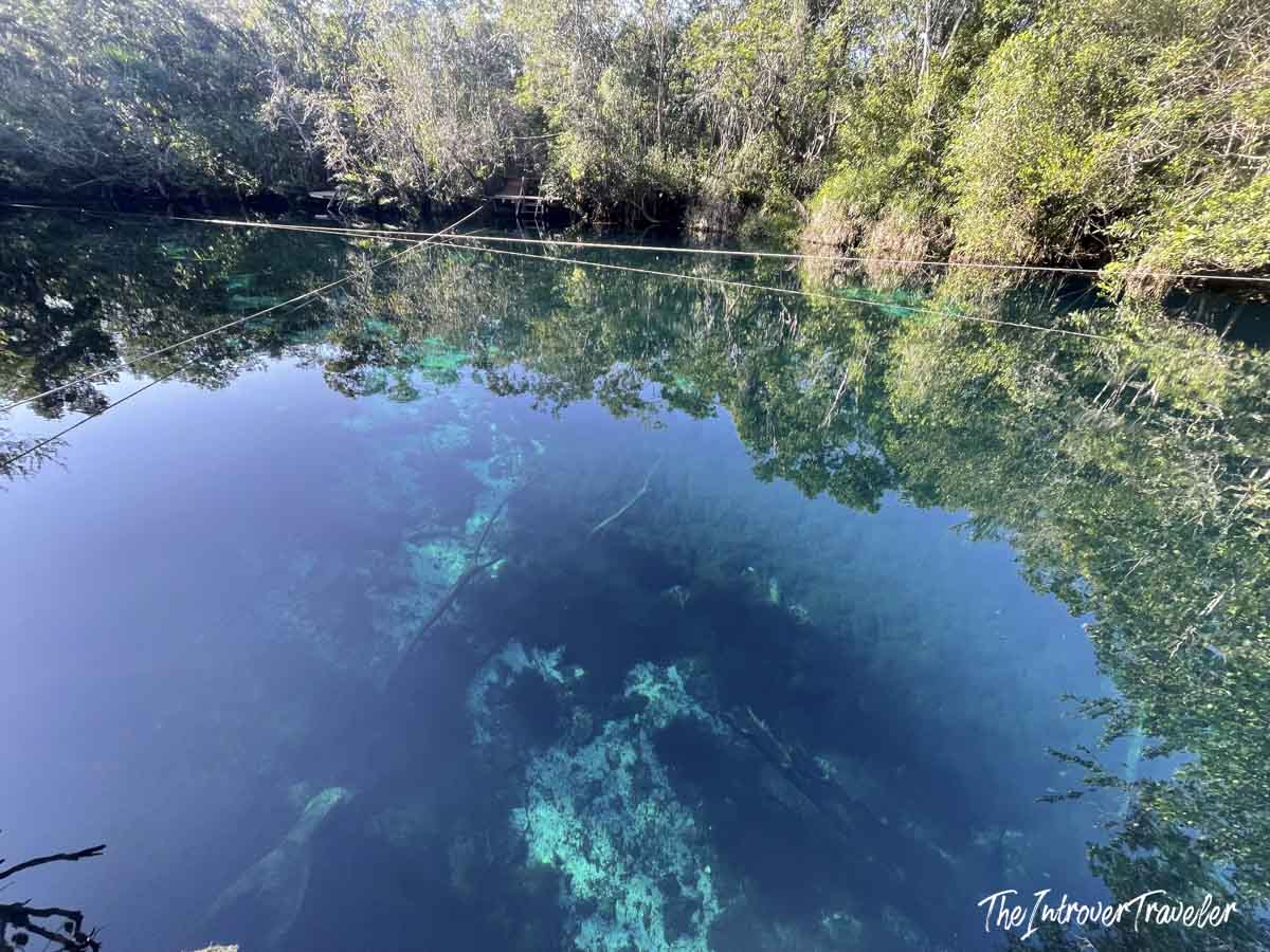 Crystal-clear turquoise water of Carwash cenote, Yucatan, reflecting jungle canopy above
