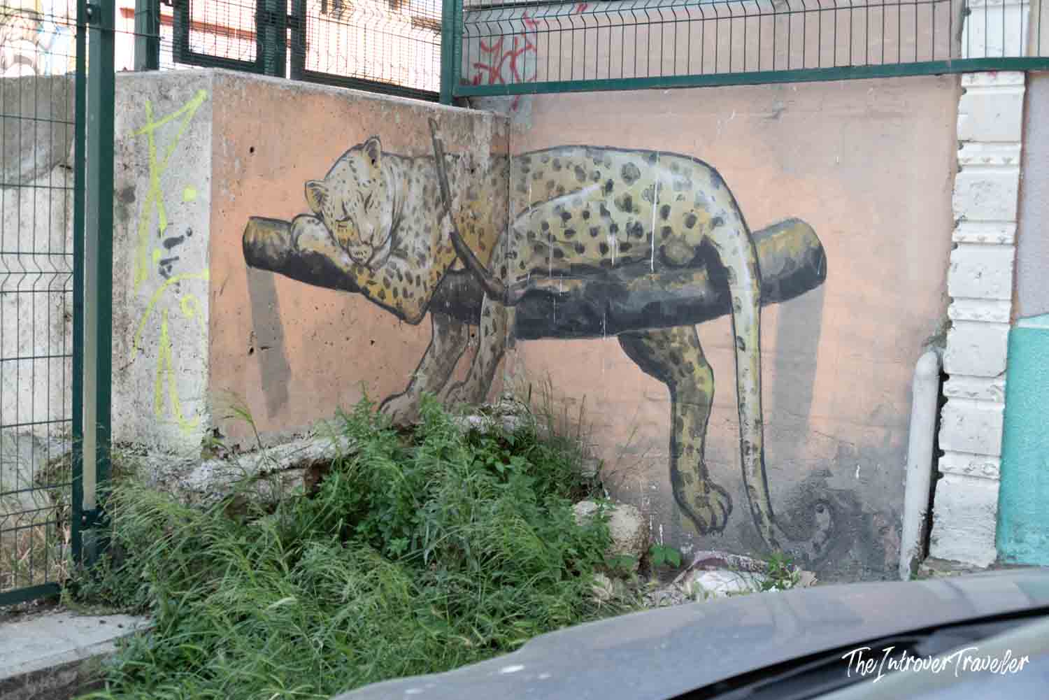 Kadıköy street art mural of a leopard draped over a pipe on a pink wall in Istanbul