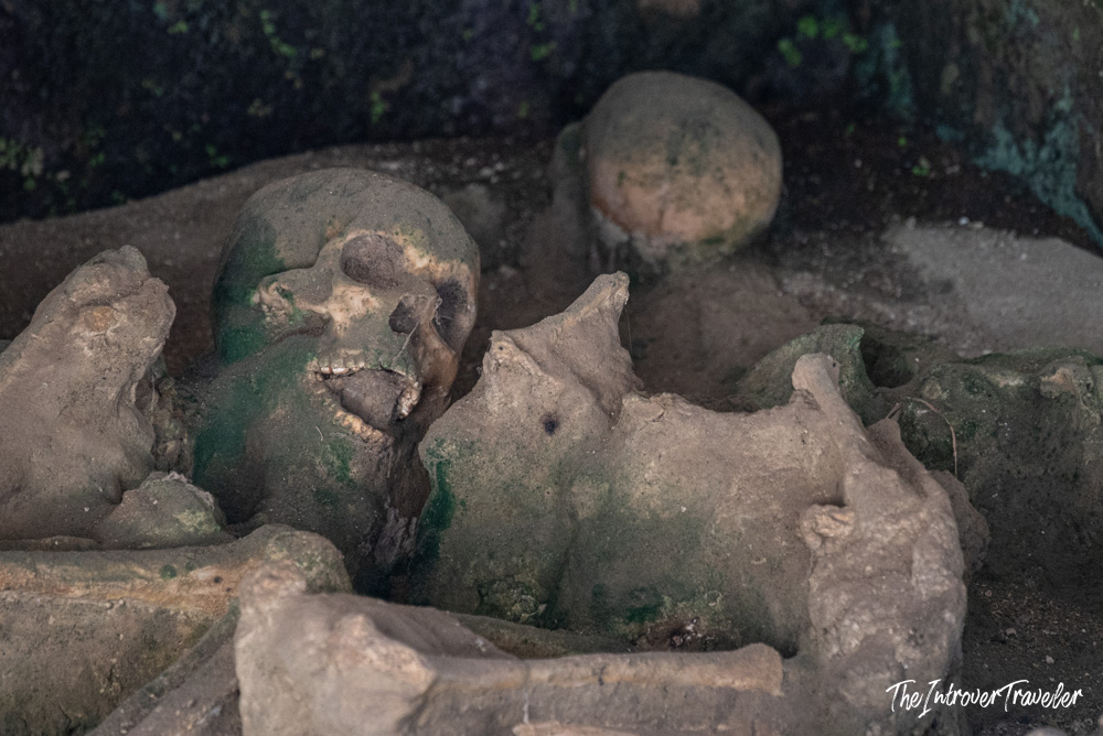 Skeletal remains of Herculaneum victims preserved in volcanic ash, found in the ancient boat chambers