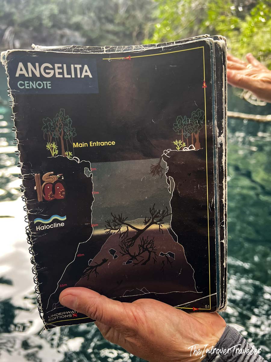 Underwater Editions dive map of Cenote Angelita showing depth profile, halocline layer, and submerged tree at 30m
