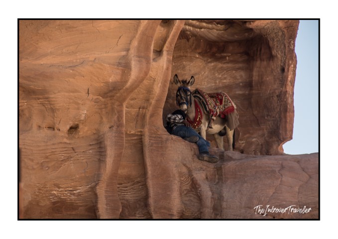 A Bedouin handler resting with a saddled donkey inside a sandstone niche in Petra, Jordan