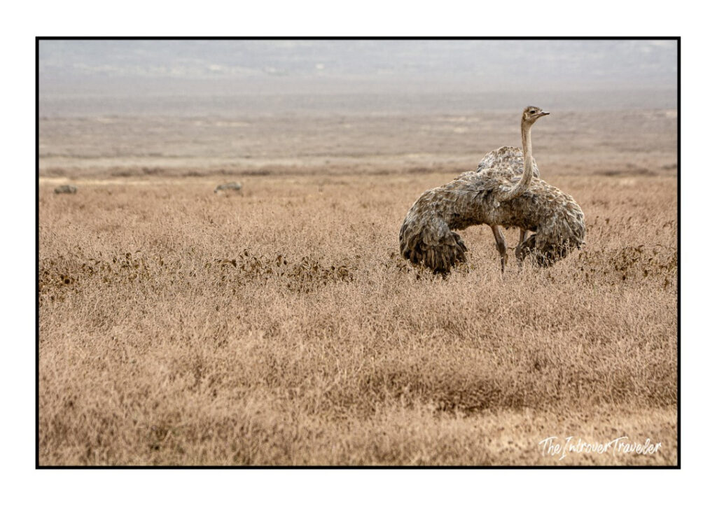 Tanzania
