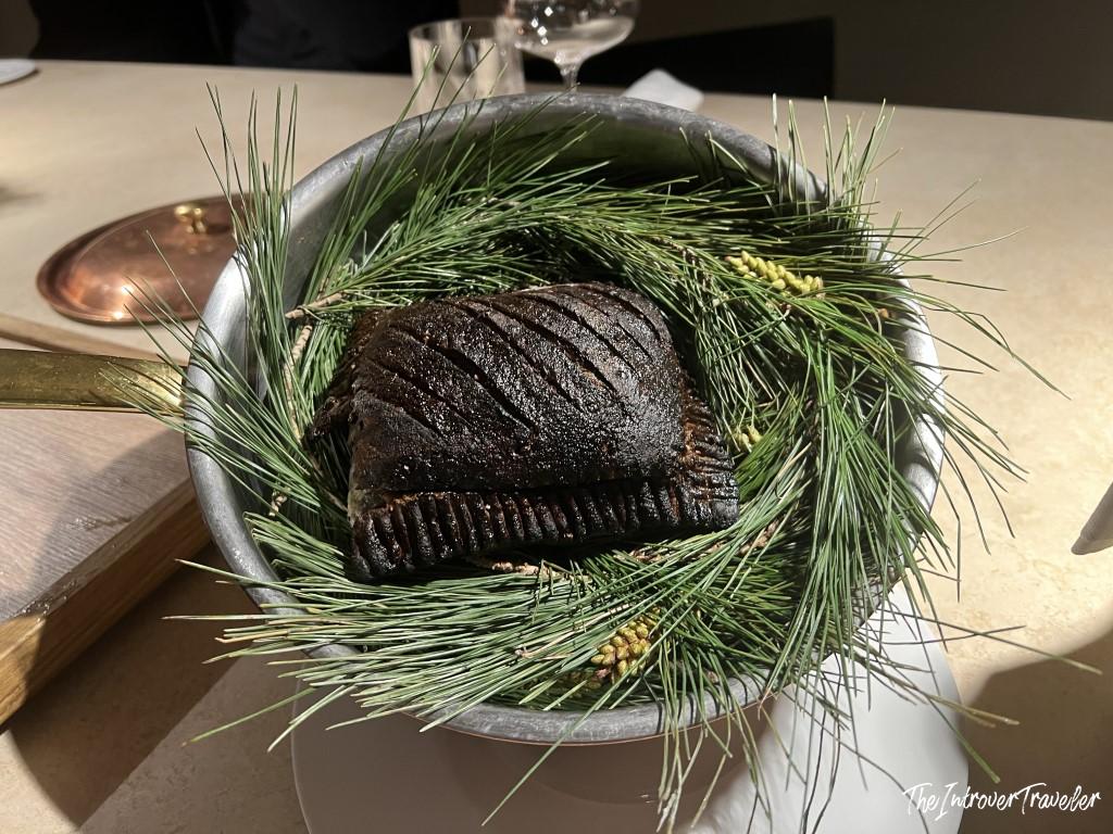 Charred whole fish nestled in fresh pine branches, served at Trattoria Da Lucio, Rimini